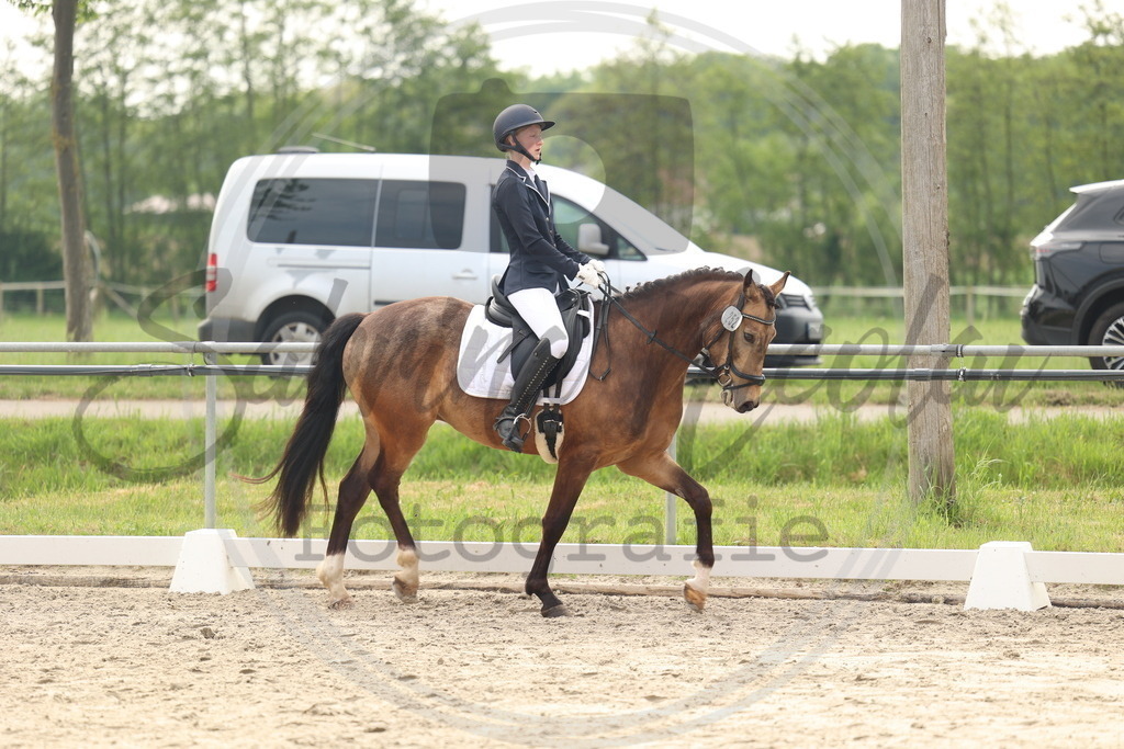 994A6296 | sabrinanicolaifotografie - Realisiert mit Pictrs.com