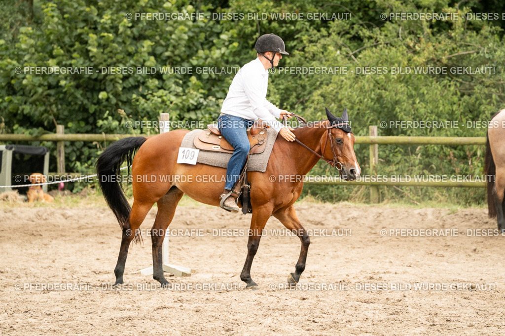 DSC00846 | Pferdegrafie