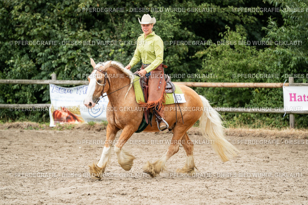 DSC02795 | Pferdegrafie