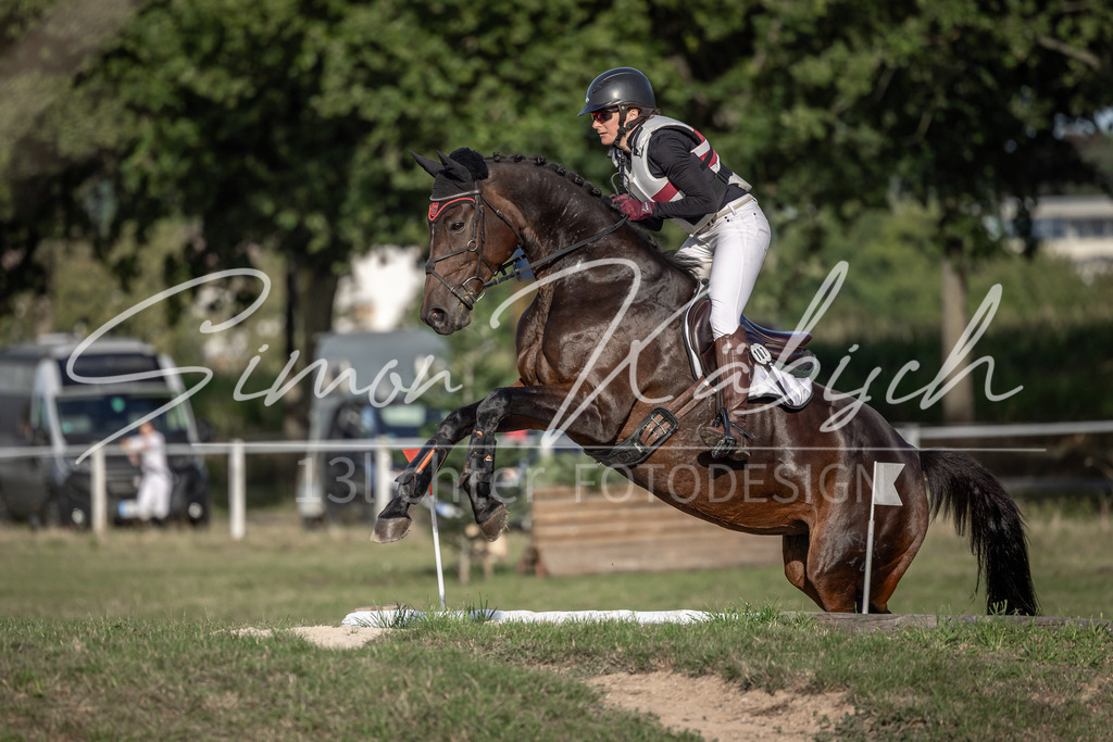 20250907-_3LI8691 | Tierfotografie Pferde, Hunde, Katzen, Haustiere.
Turnierfotografie Reitturniere, Reiten, Springreiten, Dressur in Hanau, dem Main-Kinzig-Kreis und dem Rhein-Main- Gebiet um Frankfurt