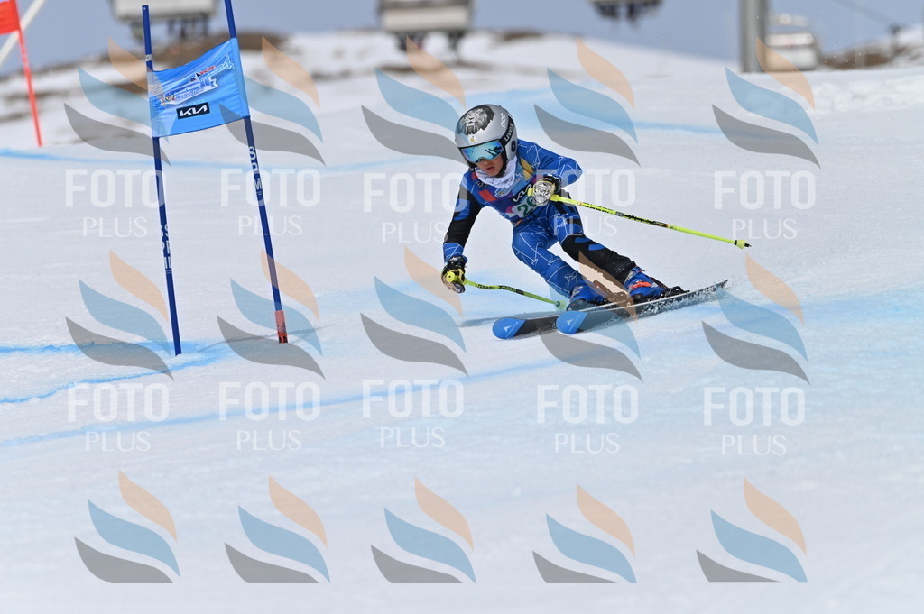 BGV_5195 | holidayphoto