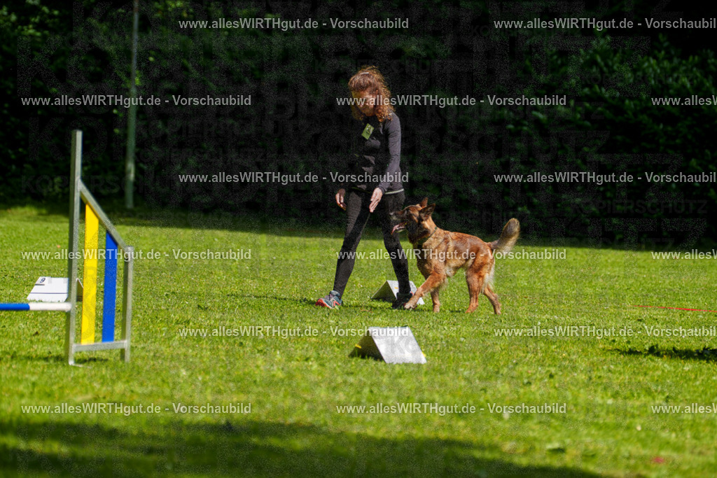 @allesWIRTHgut_Tierfotografie - www.allesWIRTHgut.de - 7R503709 | Professionelle Tierfotografie in Mönchengladbach von Daniel Wirth (allesWIRTHgut). Liebevolle & natürliche Bilder von Hunden & Katzen für unvergessliche Erinnerungen.