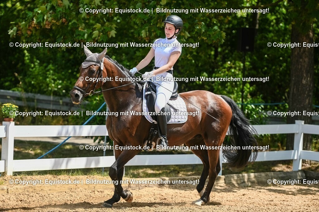 20230715_09_Dressur-WB_0261 | equistock
