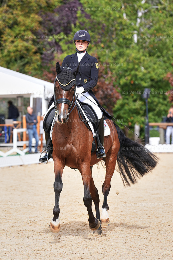 11-003-Dressur S___-Marixx-1727 | working equitationturnier fotograf videograf stoibphotography marixx film working equitation deutschland reitsport turnierfotografie eventfotografie equestrian events