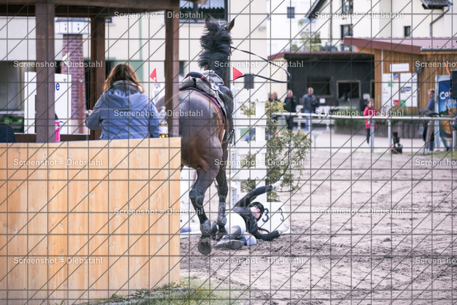 _W6A6830 | ronjaprokoschfotografie - Realisiert mit Pictrs.com