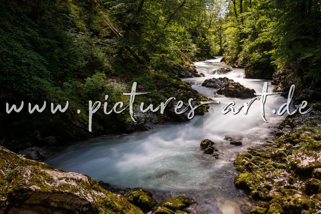 DSC09764 | pictures-art.de