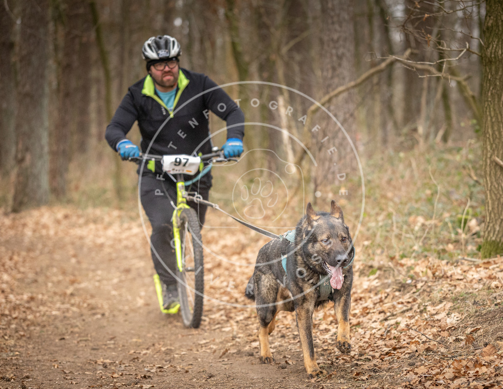 Pfotenfotografie_DV3A7418 | Hundefotografie, Tierfotograf, Pfotenfotografie, Fotoshooting Hund, Hunde Portrait, Hundesport, Hundeportraits, Heideshooting, Hunde, Sportfotograf, Hundefotograf, Turnierhundsport, THS,  - Realisiert mit Pictrs.com