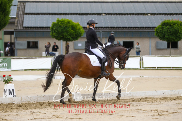 DKP40101 | Turniersportfotografie; Pferdefotografie; Dressurfotografie