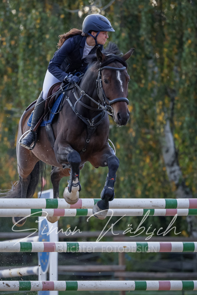 20251012-_3LI5838 | Tierfotografie Pferde, Hunde, Katzen, Haustiere.
Turnierfotografie Reitturniere, Reiten, Springreiten, Dressur in Hanau, dem Main-Kinzig-Kreis und dem Rhein-Main- Gebiet um Frankfurt