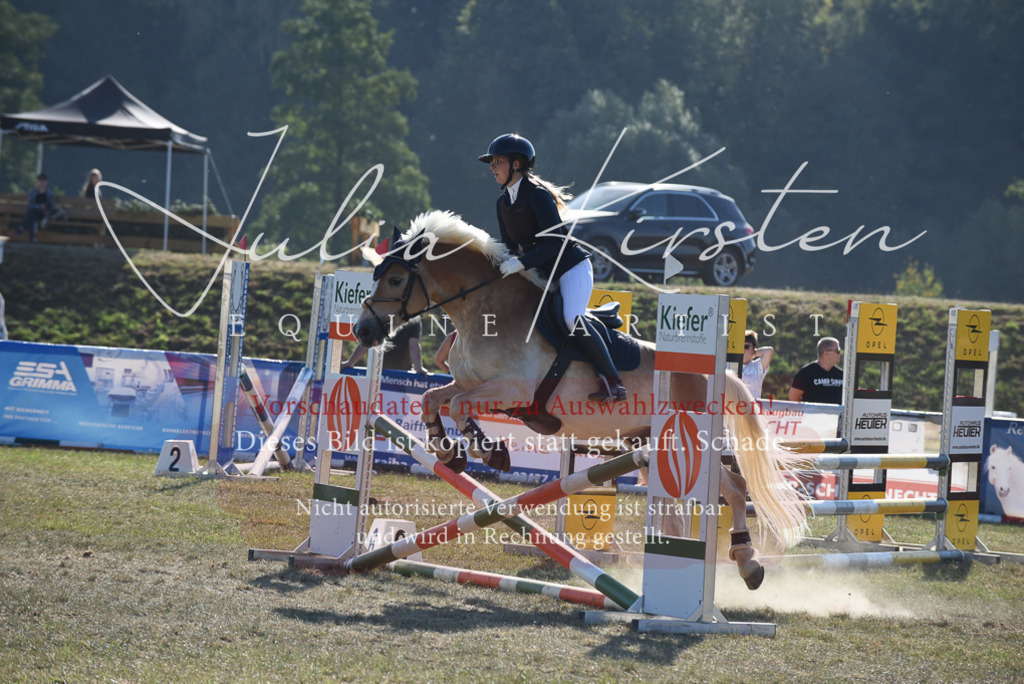 DSC_5893 | Pferde- und Turnierfotografie in Westsachsen. Pferdeportraits, Auftragszeichnungen und intuitive Kunst.