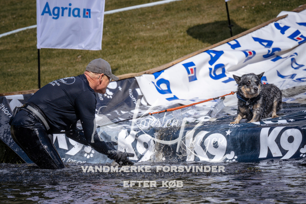 _ZZ927050928 | kk-dogfotos