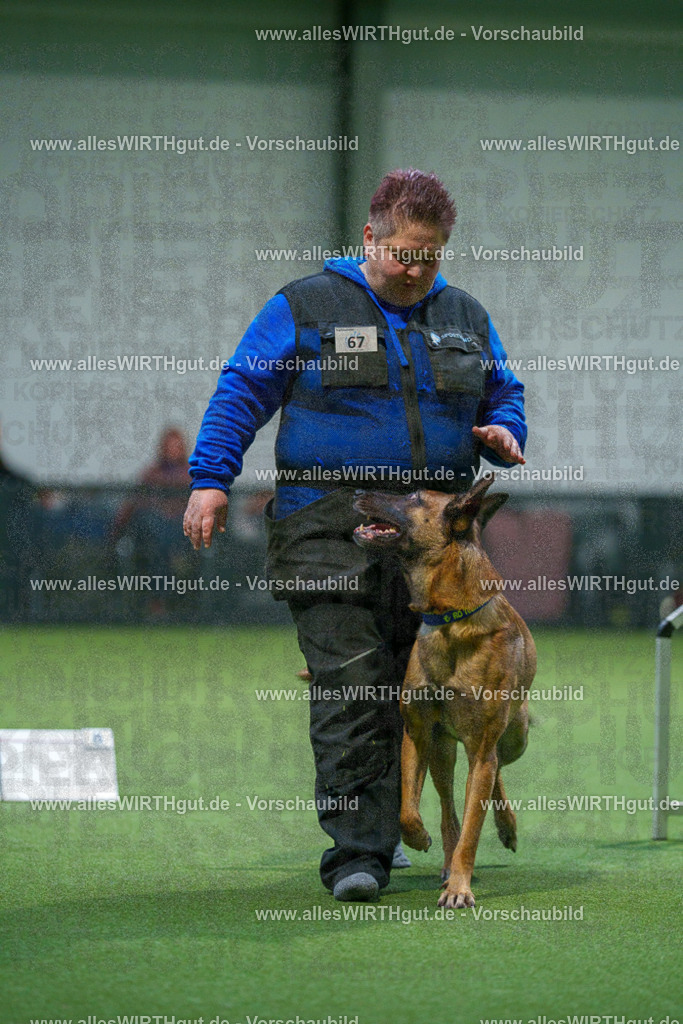 7R503749 | Professionelle Tierfotografie in Mönchengladbach von Daniel Wirth (allesWIRTHgut). Liebevolle & natürliche Bilder von Hunden & Katzen für unvergessliche Erinnerungen.