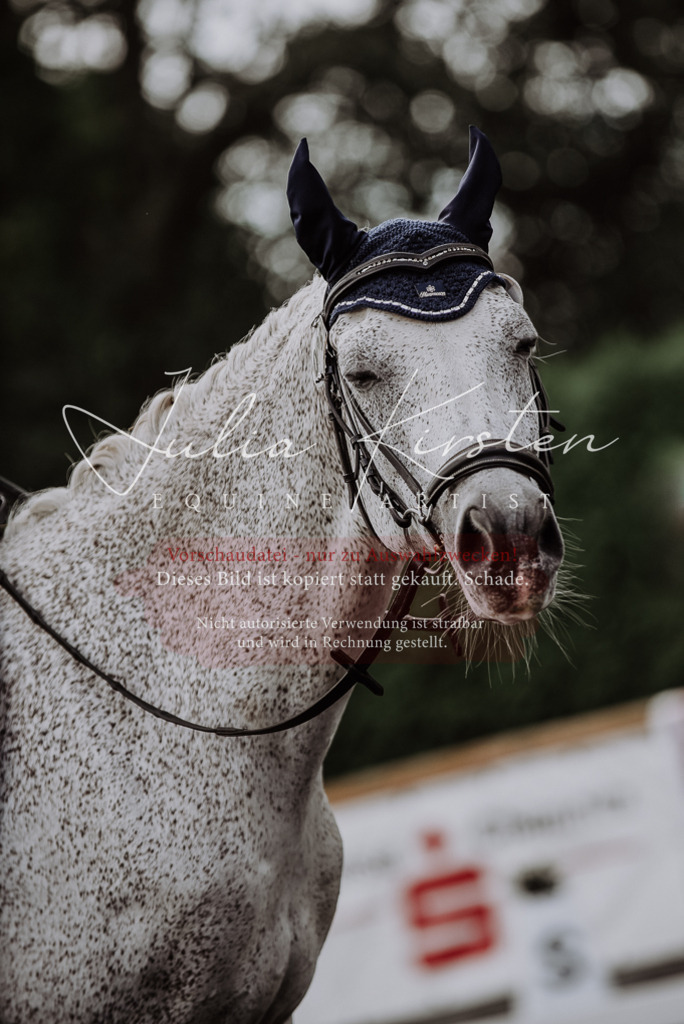 DSC_3983 | Pferde- und Turnierfotografie in Westsachsen. Pferdeportraits, Auftragszeichnungen und intuitive Kunst.