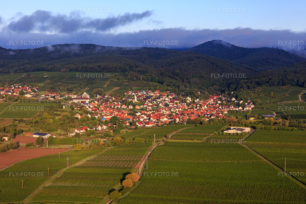 Luftbild: Ortsansicht von Osten im Ortsteil Rechtenbach in Schweigen-Rechtenbach im Bundesland Rheinland-Pfalz in Deutschland. Foto: IMG_103264.jpg vom 10.09.2017 durch Werner Riehm/FLY-FOTO.de