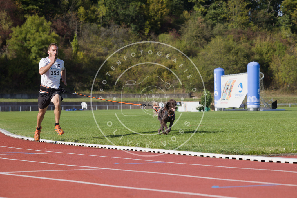 0L8A9870 | Hundefotografie, Tierfotograf, Pfotenfotografie, Fotoshooting Hund, Hunde Portrait, Hundesport, Hundeportraits, Heideshooting, Hunde, Sportfotograf, Hundefotograf, Turnierhundsport, THS,  - Realisiert mit Pictrs.com