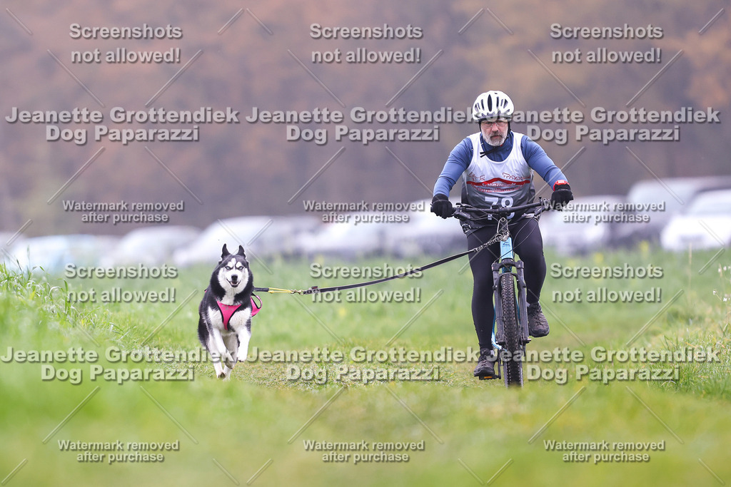 Dog Paparazzi - Visbeck 25 -254 | Dog Paparazzi Jeanette Grottendiek Fotografie & Videografie - Realisiert mit Pictrs.com