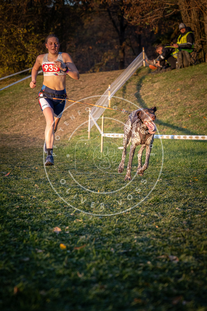 CaniXpix_0L8A1764 | Hundefotografie, Tierfotograf, Pfotenfotografie, Fotoshooting Hund, Hunde Portrait, Hundesport, Hundeportraits, Heideshooting, Hunde, Sportfotograf, Hundefotograf, Turnierhundsport, THS,  - Realisiert mit Pictrs.com