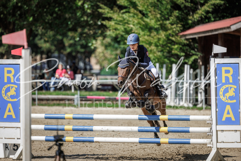 20260905-_3LI9507 | Tierfotografie Pferde, Hunde, Katzen, Haustiere.
Turnierfotografie Reitturniere, Reiten, Springreiten, Dressur in Hanau, dem Main-Kinzig-Kreis und dem Rhein-Main- Gebiet um Frankfurt