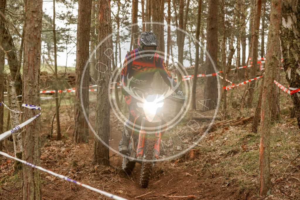 4TaktLauf2-362 | koppe-media - Realisiert mit Pictrs.com