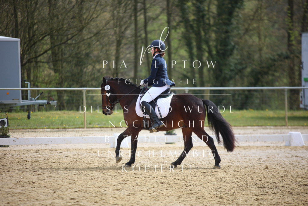 IMGT5090 | pl-fotografie