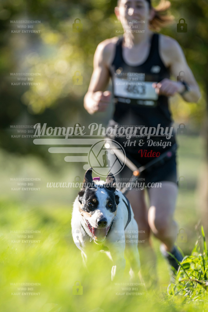 MompixPhotography_20TSB_E3_Run-129 | PayLife