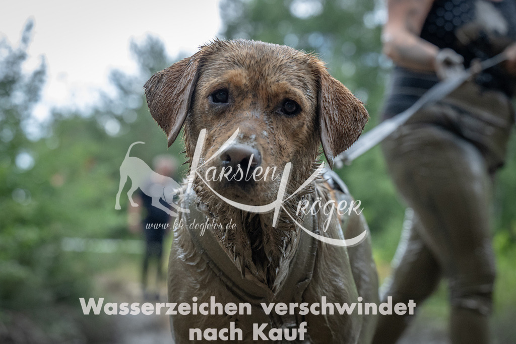 1107_ZZ90087 | kk-dogfotos