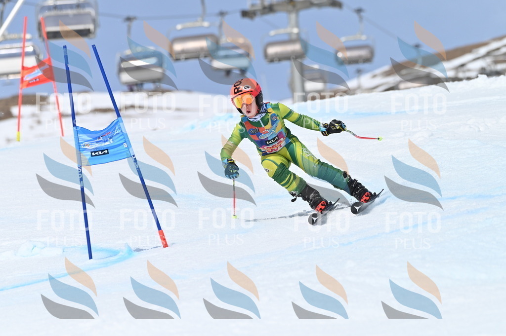 BGV_3780 | holidayphoto