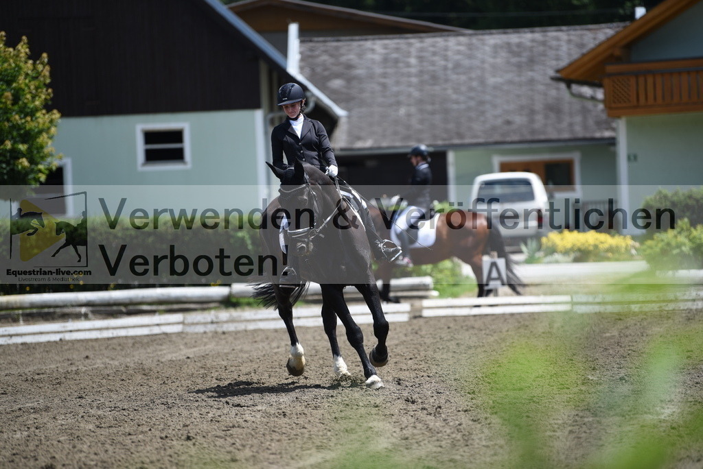 DSC_1454 | equestrian-live-com