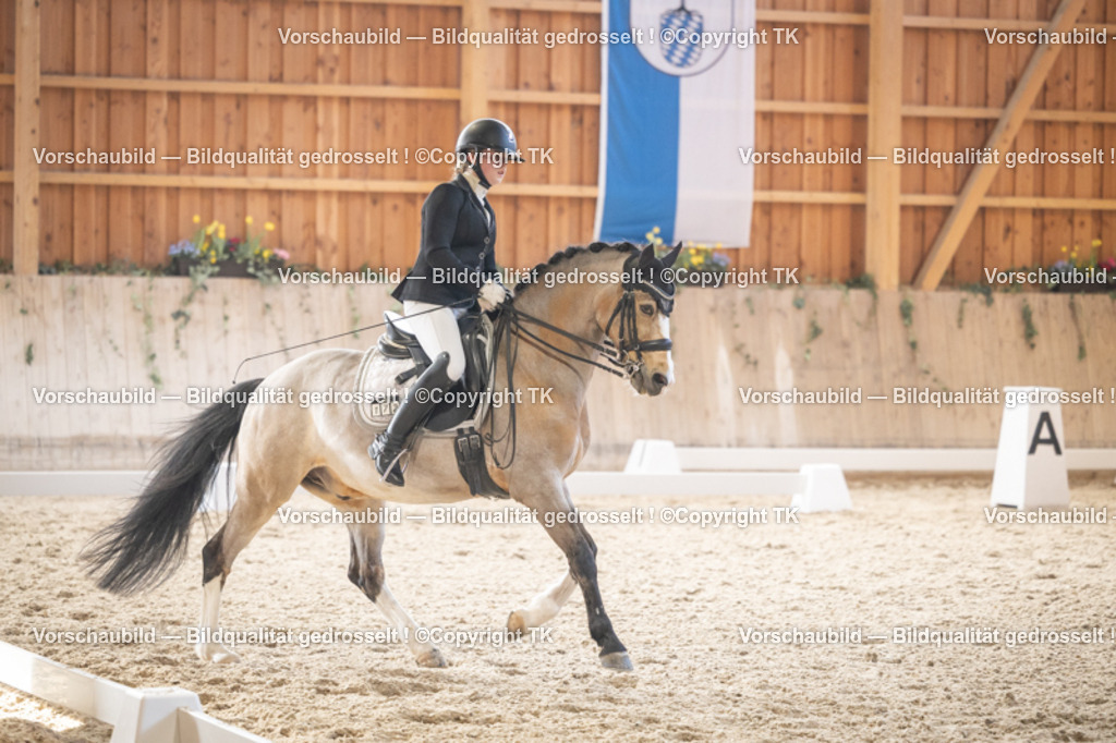 _D5A6245 | Emotionale Pferde- & People-Fotografie rund um Heidelberg, Leimen & Umgebung. Natürliche Fotos von Pferd, Mensch & Familie. Jetzt Termin sichern!