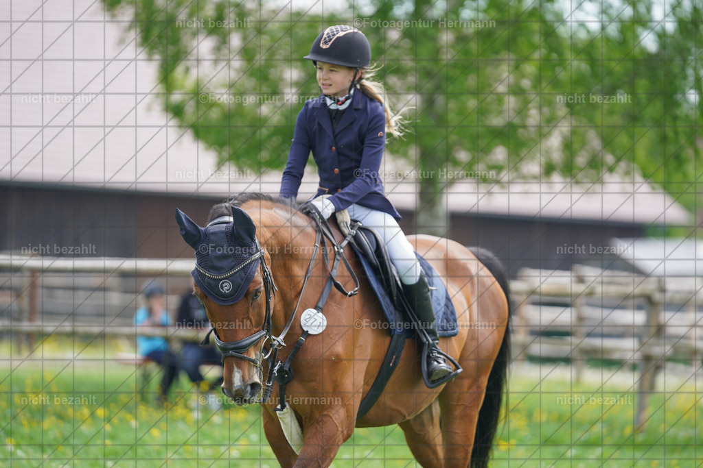 20240509-FAH02809 | Turnierbilder der Turnierfotografen Bayern, Pferdesport Fotografie, Reitsportbilder, Turnier Landberg am Lech, Turnierbilder bayern, Fotoagentur Herrmann