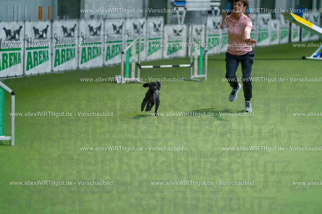 @allesWIRTHgut_Tierfotografie - www.allesWIRTHgut.de - 2604250859-7R508259 | Professionelle Tierfotografie in Mönchengladbach von Daniel Wirth (allesWIRTHgut). Liebevolle & natürliche Bilder von Hunden & Katzen für unvergessliche Erinnerungen.