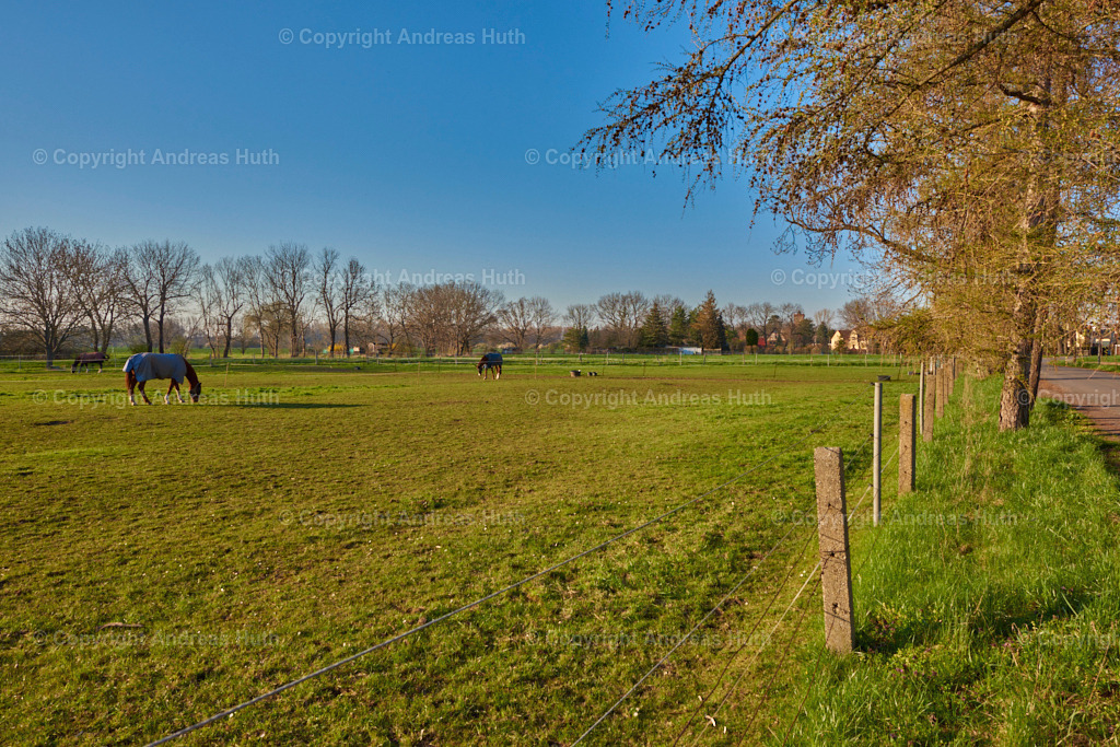 In der Elsteraue nahe der Schwennigke mit Blick zur Burg Etzoldshain | Bedeutsame Landschaften Deutschlands - Realisiert mit Pictrs.com