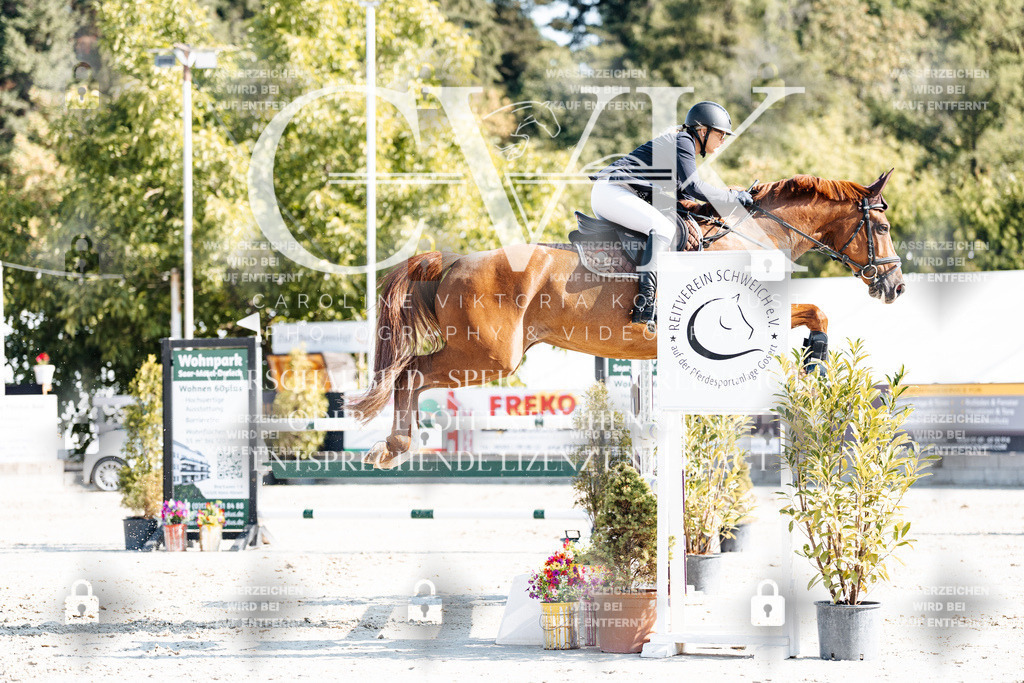 CK901997 | Turnierfotografie Pferdefotografie Trier Rheinland-Pfalz Pferdesport Reitsport Tierfotografie Sportfotografie Pferdevideo Pferdevideografie Equestrianvideography equestrianphotography  - Realisiert mit Pictrs.com