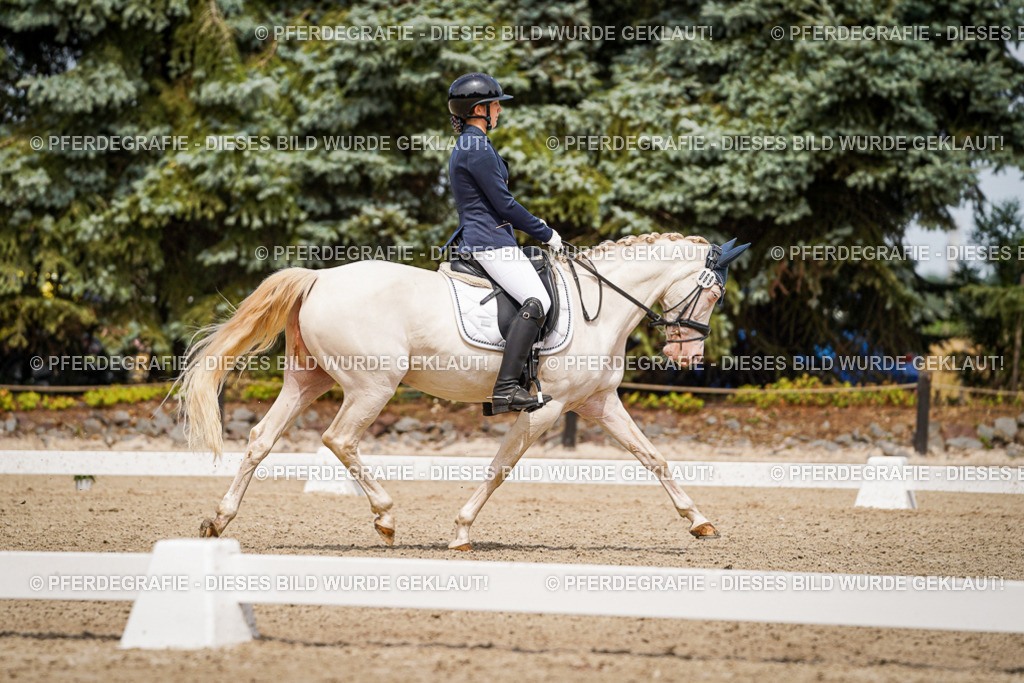 DSC04277 | Pferdegrafie