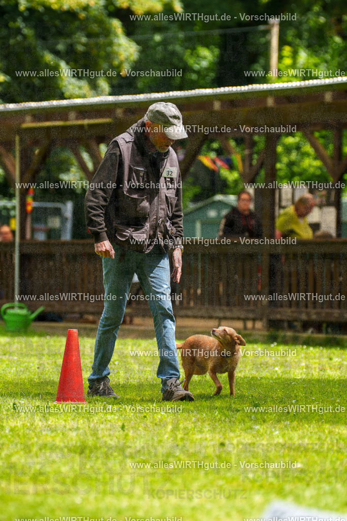 @allesWIRTHgut_Tierfotografie - www.allesWIRTHgut.de - 121719-7R508799 | Professionelle Tierfotografie in Mönchengladbach von Daniel Wirth (allesWIRTHgut). Liebevolle & natürliche Bilder von Hunden & Katzen für unvergessliche Erinnerungen.