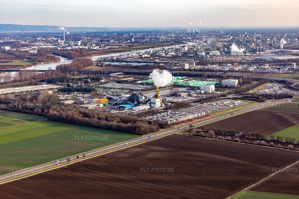 Luftbild: BASF Kläranlage  Lanfer Logistik GmbH / HELA GmbH Hermann Lanfer im Ortsteil Mörsch in Frankenthal im Bundesland Rheinland-Pfalz in Deutschland. – Foto: IMG_130532.jpg vom 12.02.2022 durch Werner Riehm/FLY-FOTO.de – Auflösung des Originals: 5472 x 3648 px – BASF – United States – WWW.LANFER-LOGISTIK.DE