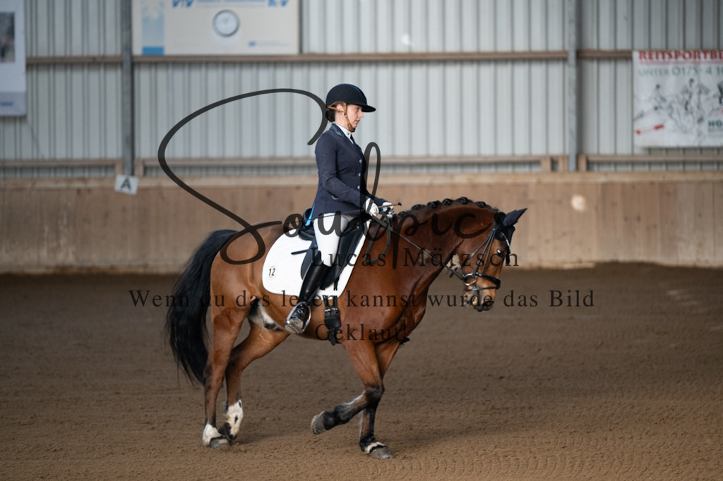 A7V05568 | Pferdefotograf