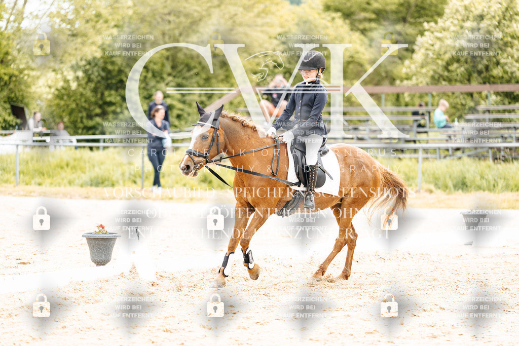 CK904610 | Turnierfotografie Pferdefotografie Trier Rheinland-Pfalz Pferdesport Reitsport Tierfotografie Sportfotografie Pferdevideo Pferdevideografie Equestrianvideography equestrianphotography  - Realisiert mit Pictrs.com