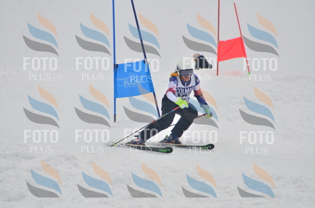 A5853 | holidayphoto