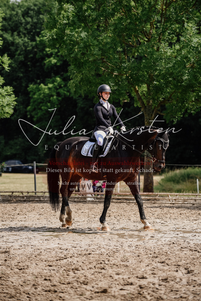 DSC_0646 | Pferde- und Turnierfotografie in Westsachsen. Pferdeportraits, Auftragszeichnungen und intuitive Kunst.