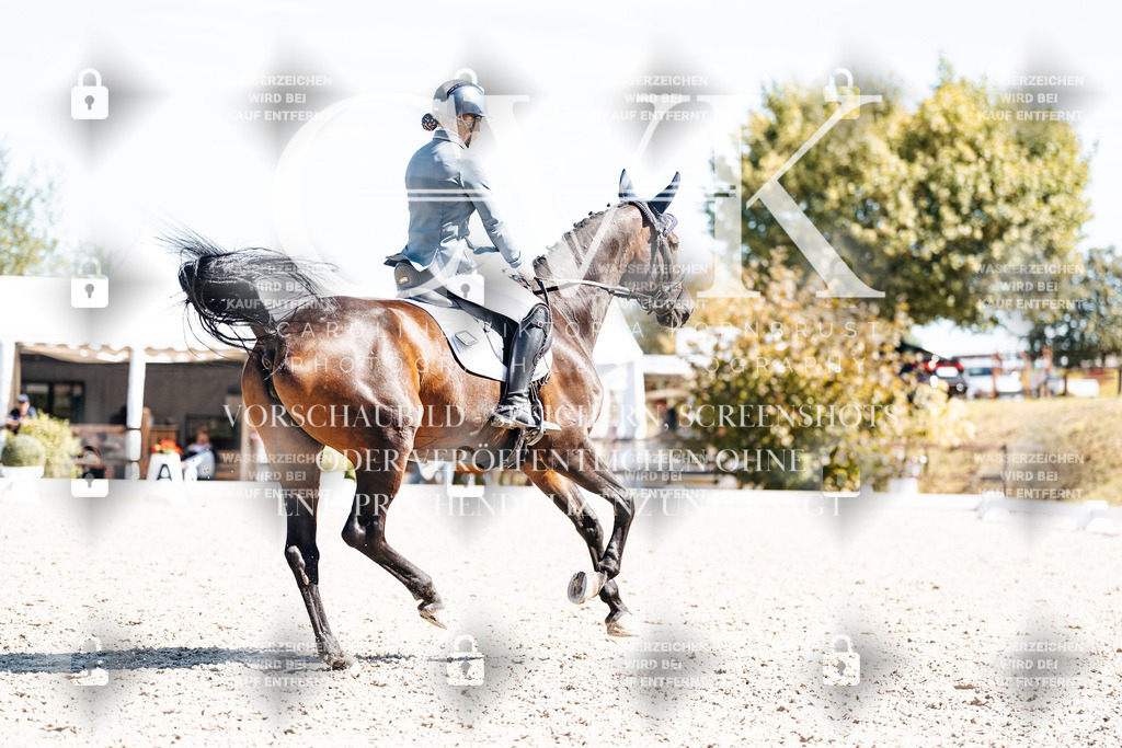 CK909829 | Turnierfotografie Pferdefotografie Trier Rheinland-Pfalz Pferdesport Reitsport Tierfotografie Sportfotografie Pferdevideo Pferdevideografie Equestrianvideography equestrianphotography  - Realisiert mit Pictrs.com