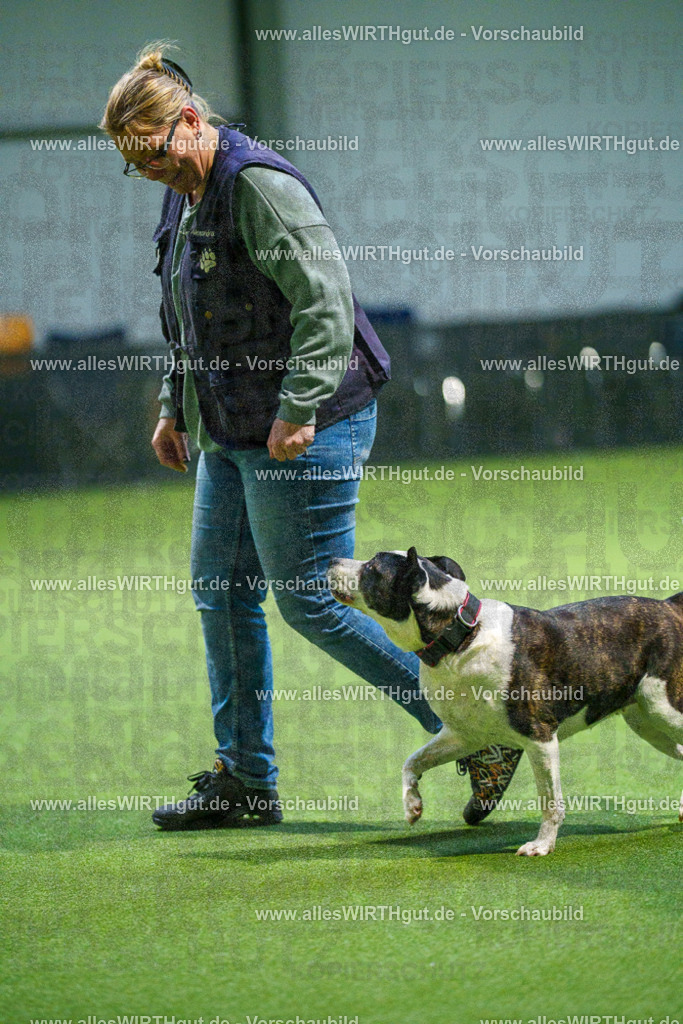 7R509853 | Professionelle Tierfotografie in Mönchengladbach von Daniel Wirth (allesWIRTHgut). Liebevolle & natürliche Bilder von Hunden & Katzen für unvergessliche Erinnerungen.