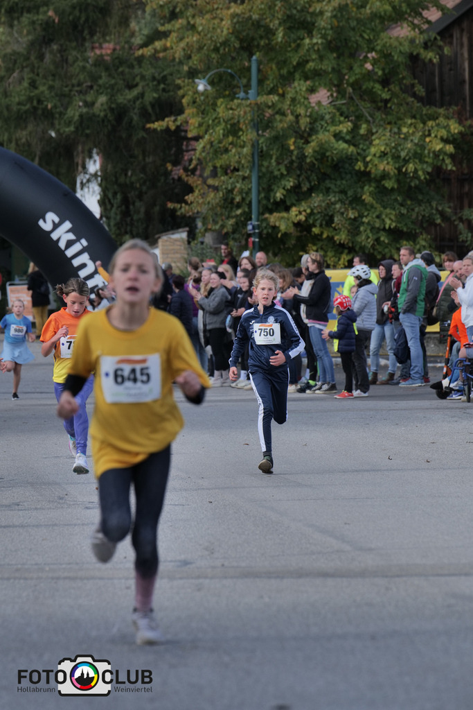 P1039243 | Foto Buchgraber