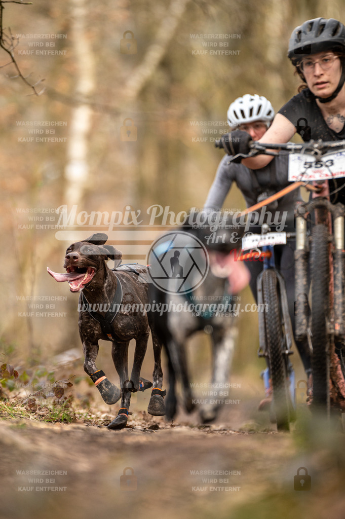 SPA_2023_SAM_Scooter-13 | PayLife