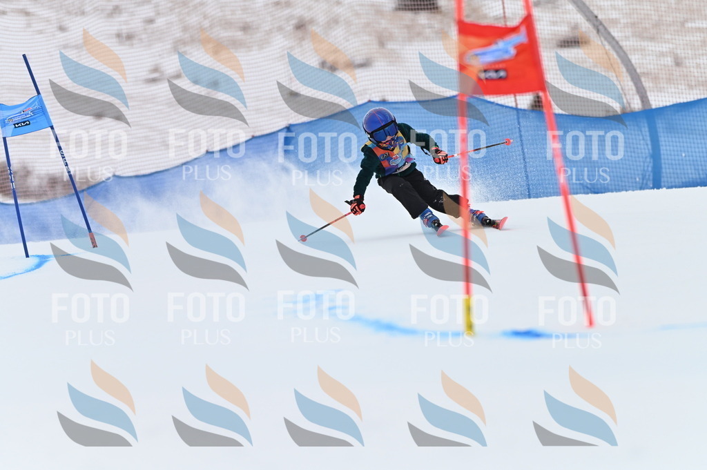 BGV_9563 | holidayphoto