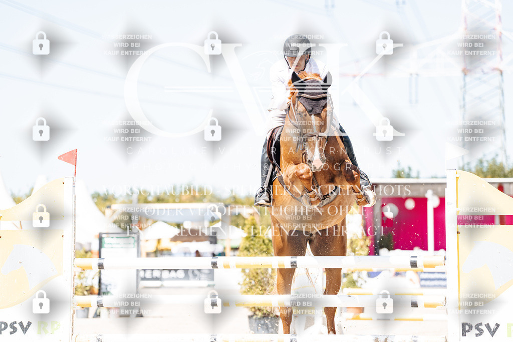 CK909519 | Turnierfotografie Pferdefotografie Trier Rheinland-Pfalz Pferdesport Reitsport Tierfotografie Sportfotografie Pferdevideo Pferdevideografie Equestrianvideography equestrianphotography  - Realisiert mit Pictrs.com