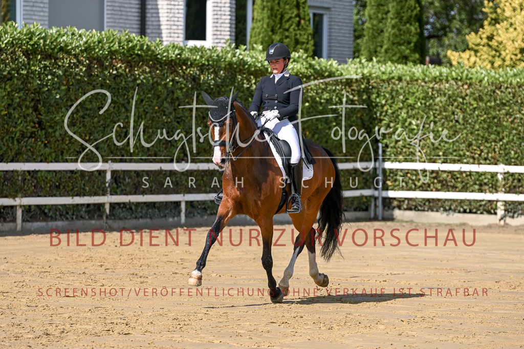 Schugtsche-Aluta25-58. Dressurprf.S1Kand.St.GeorgSpecial-274 | Schugtsche Fotografie - Realisiert mit Pictrs.com