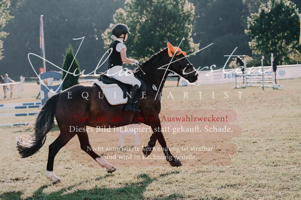 DSC_4468 | Pferde- und Turnierfotografie in Westsachsen. Pferdeportraits, Auftragszeichnungen und intuitive Kunst.