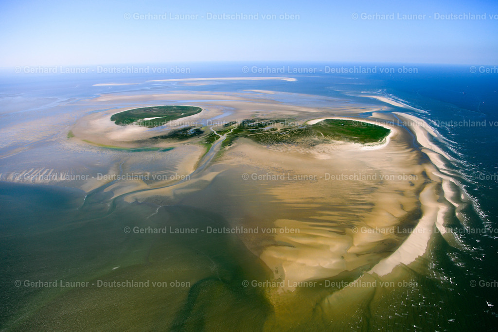 3090410 | Nigehörn und Scharhörn im Nationalpark Hamburgisches Wattenmeer