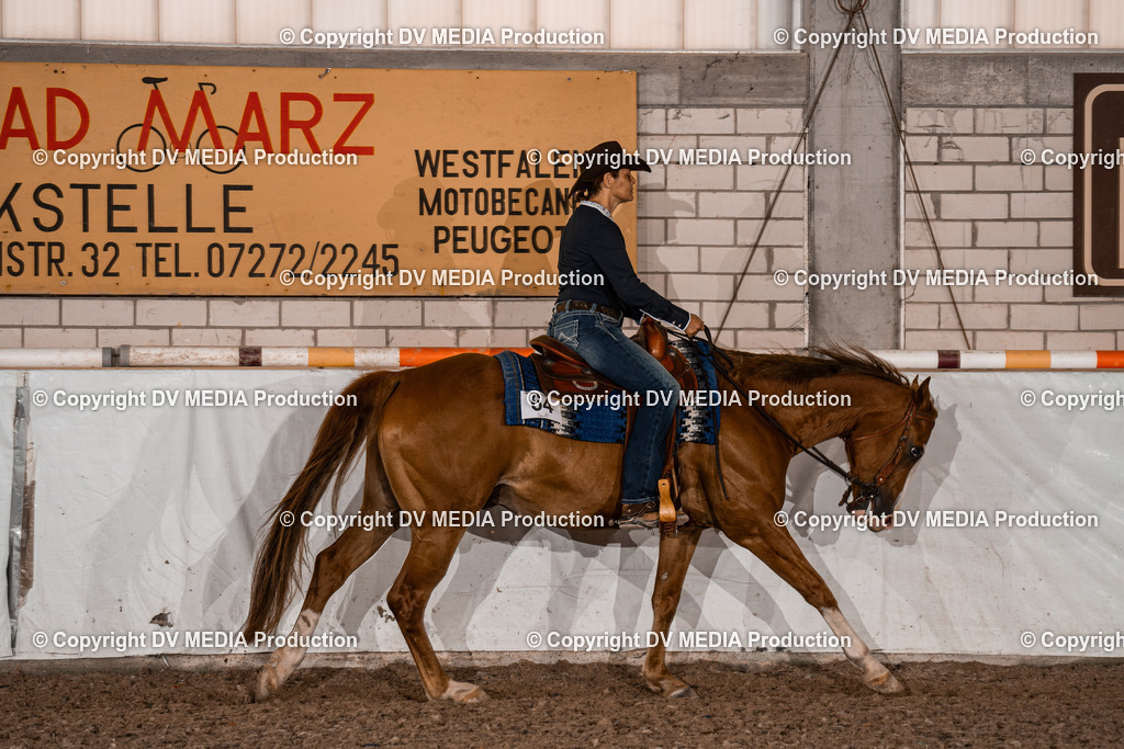 ZH100283 | dv-media-shop - Realisiert mit Pictrs.com